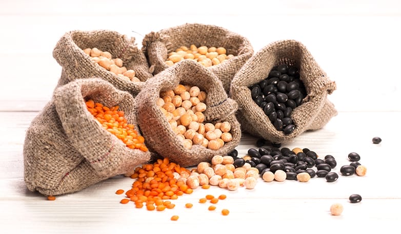 Agri-tech - beans - small
