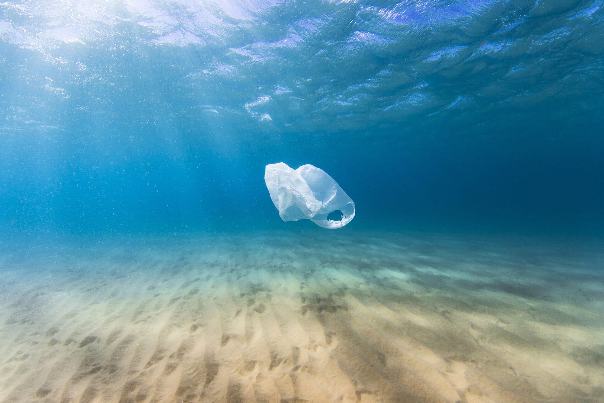 A plastic bag drifts in the clear blue ocean as a result of human pollution. Perfect for ocean conservation theme. (This bag was collected and taken out of the ocean)